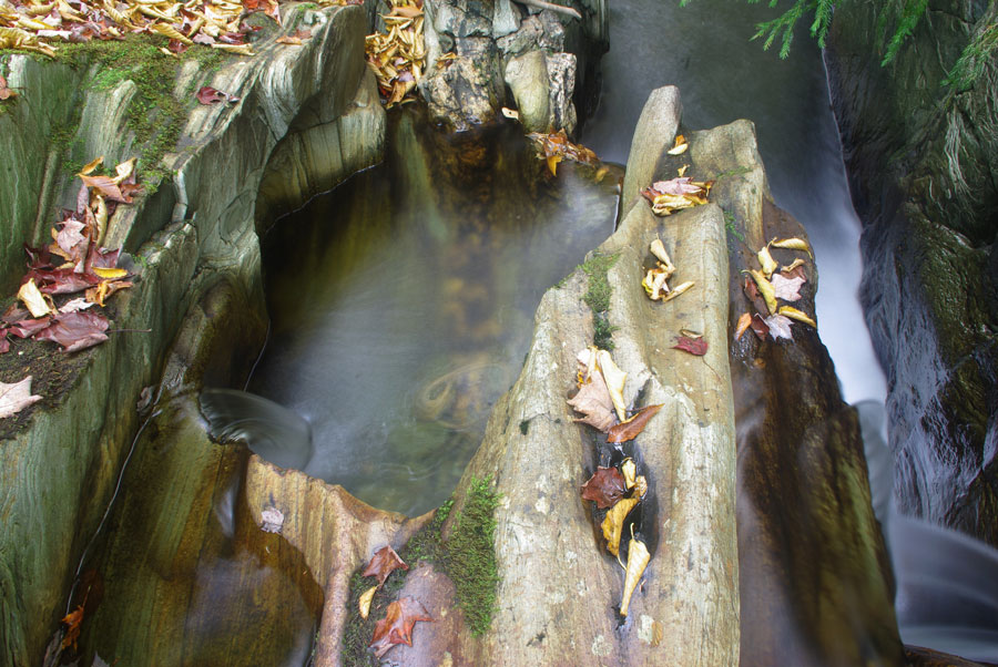 Downstream