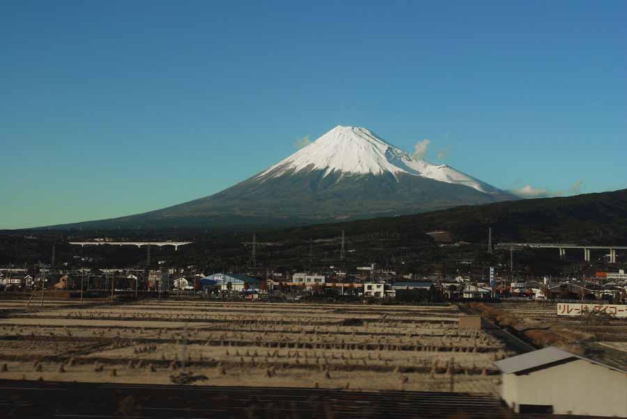 Fuji fields