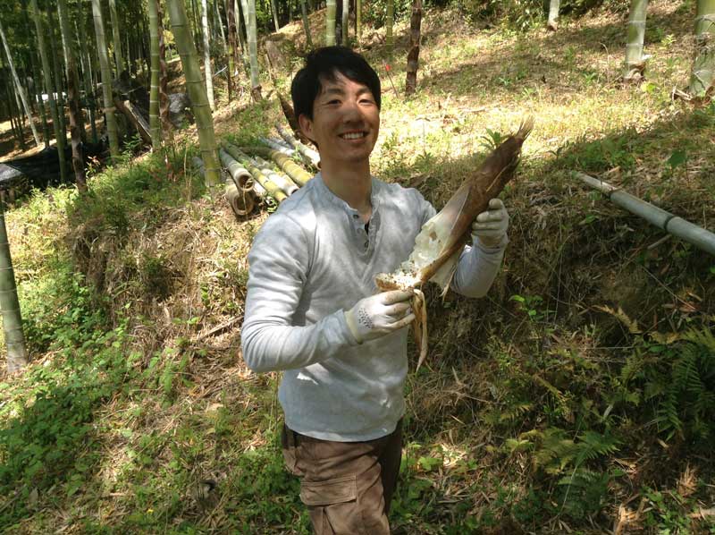 Takenoko (baby-bamboo)