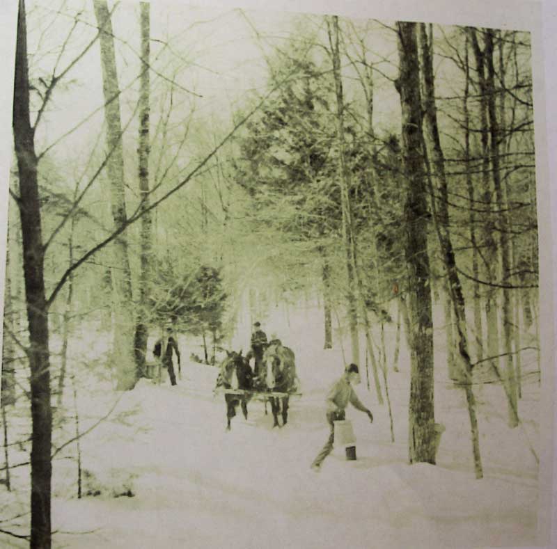 The old ways.... (Stanley in foreground)