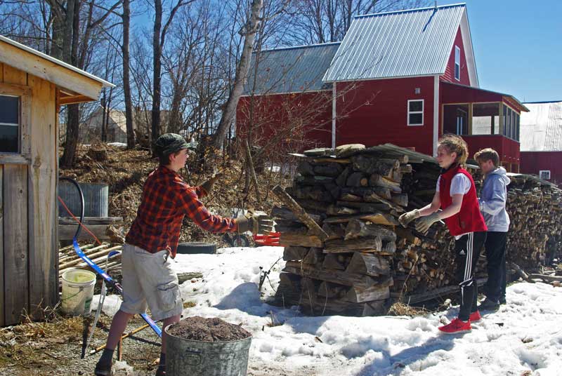 Can you spot the two sticks in mid-air?