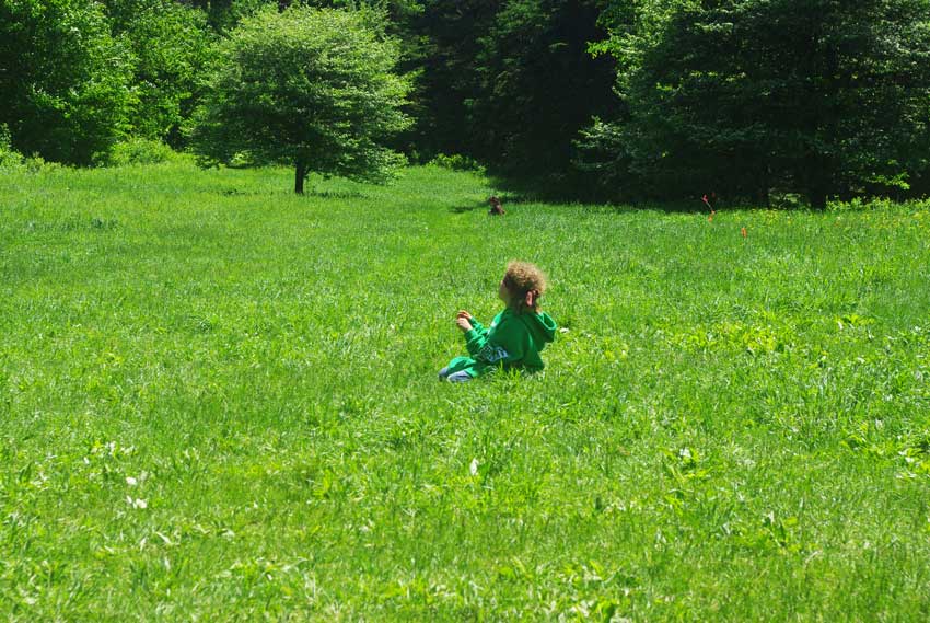 Drum-stock photo: Kelso