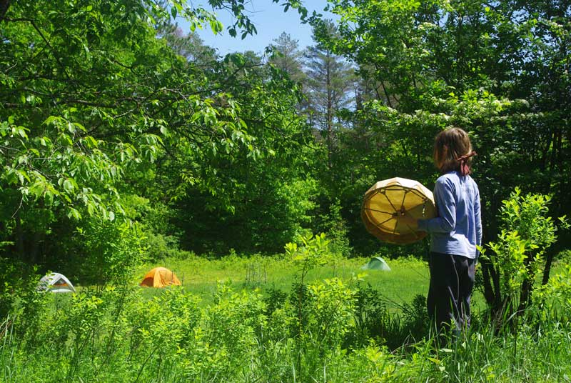 Drum-stock drummer photo: Kelso