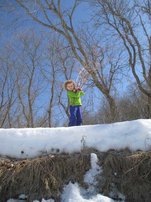 Village School photo: Eve Bernhard