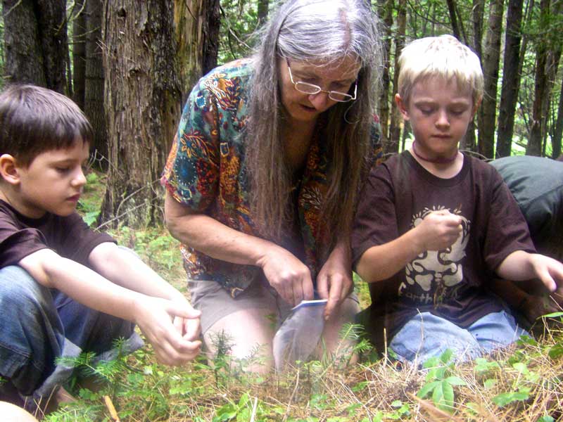 Elder Jane sharing how to harvest Goldthread medicine photo: Angella Gibbons