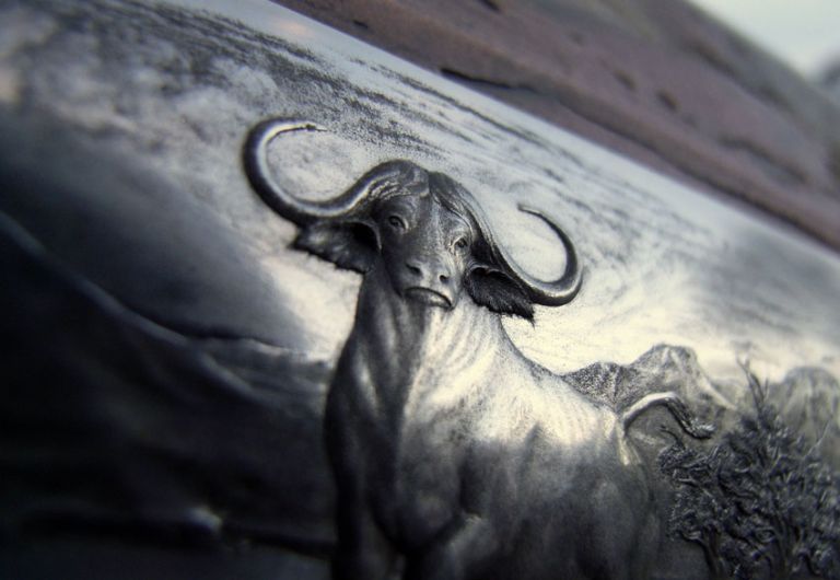 Water Buffalo engraving