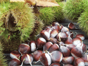 Chestnuts(photo Nicko)